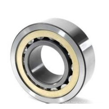 types of bearings cylindrical roller bearings NU 1010M